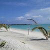 Maldives, Addu Seenu, South Palm island, beach, palms