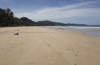 Philippines, Palawan, Mariposa beach, wet sand