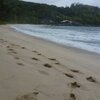 Seychelles, Mahe, Anse Cachee beach, footprints