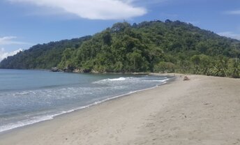 Trinidad, Grand Riviere beach, east