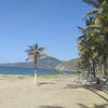 Venezuela, Margarita, Playa Las Arenas beach, palms