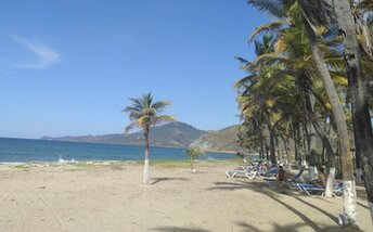 Venezuela, Margarita, Playa Las Arenas beach, palms