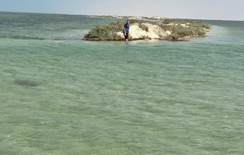 Bahrain, South Sandbank beach