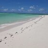 BVI, Anegada, Cow Wreck beach