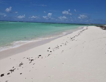 BVI, Anegada, Cow Wreck beach