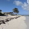 BVI, Anegada, Cow Wreck beach, water edge