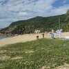 China, Hainan, Lingshui Nanwan beach, ivy
