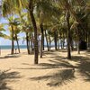 China, Hainan, Lingshui Nanwan beach, palms