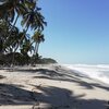 Colombia, Santa Marta, Playa Elizabeth beach, palms