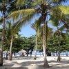 Colombia, Santa Marta, Playa Koralia beach, palms