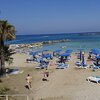 Cyprus, Ayia Napa, Nisia Loumbardi beach, palms