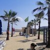 Egypt, Port Said beach, palms