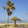 Egypt, Ras El-Bar beach, palm
