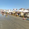 Egypt, Ras El-Bar beach, sunbeds