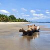 Equatorial Guinea, Playa La Ferme beach, snag