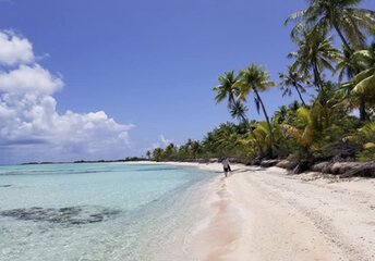 French Polynesia, Tikehau, Motu Tavararo island, beach