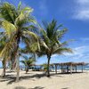 Honduras, Tela beach, palms & tiki huts