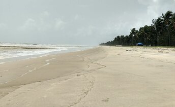 India, Karnataka, Padukere beach