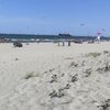 Italy, Emilia-Romagna, Marina Romea beach, sand dune