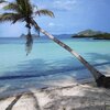 Philippines, Palawan, Sader beach, palm over water