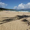 Puerto Rico, Culebra, Playa Brava beach, palm shade