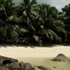Seychelles, Mahe, Pointe Au Sel beach, view from water