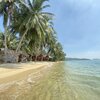 Thailand, Phangan, Hin Kong beach, palms