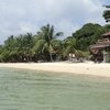 Thailand, Phangan, Shambhala beach, palms