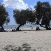Turkey, Menekse beach, trees