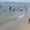 Turkey, Menekse beach, water edge