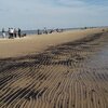 Uruguay, Playa Blancarena beach, sandbank