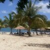 Antigua, Verandah beach, palms