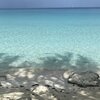 Bahamas, Bimini, Alice Town beach, clear water