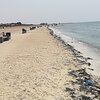 Bahrain, Malkiya beach, algae