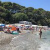 France, French Riviera, Paloma beach, trees