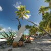 French Polynesia, Tikehau, Fafarua beach, palms