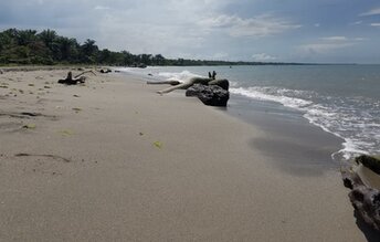 Honduras, El Porvenir beach