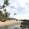 India, Kerala, Koolimuttam beach, palms