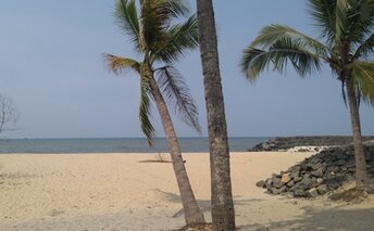 India, Kerala, Thattukadavu beach