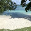 Palau, Koror, Long Island Park beach, white sand