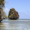 Palau, Koror, Ngerikuul Bay islets, rock