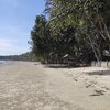 Philippines, Palawan, Belles beach, trees
