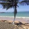 Sao Tome, Lagarto beach, palm