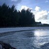 Seychelles, Mahe, Airport Beach, trees