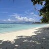 Seychelles, Silhouette, Labriz beach, trees shade