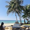 Thailand, Phangan, Pirate Beach, cafe