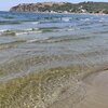 Турция, Пляж Ясар, прозрачная вода