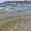 Turkey, Yasar beach, clear water