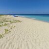 USVI, St. Croix, Sandy Point beach, ivy