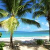 USVI, St. Croix, West End Bay beach, palms